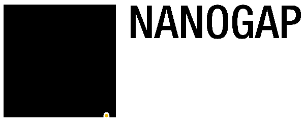 logotipo NANOGAP SUB-NM-POWDERS
