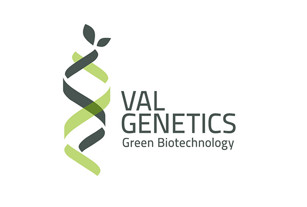 logotipo VALGENETICS S.L.